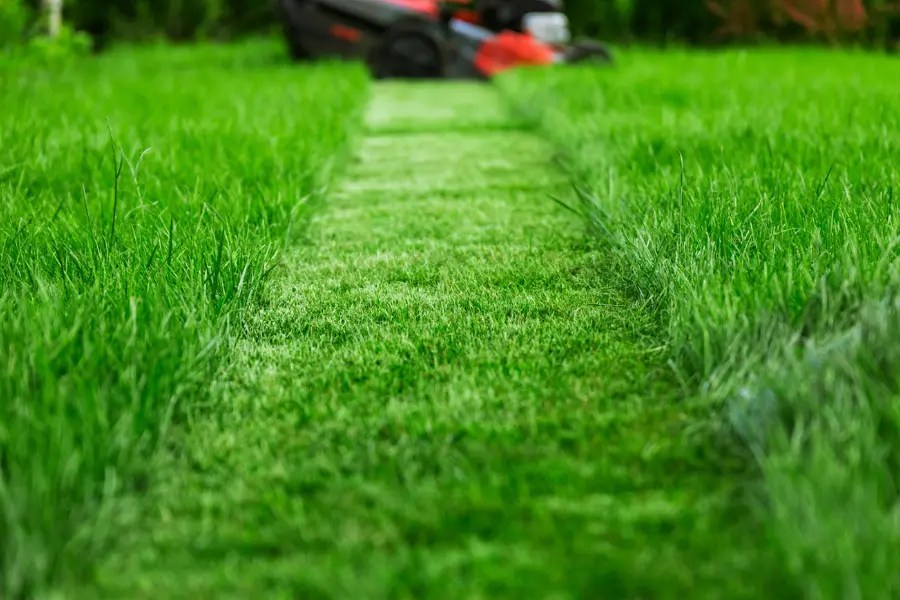 Lawn mowing and lawn care