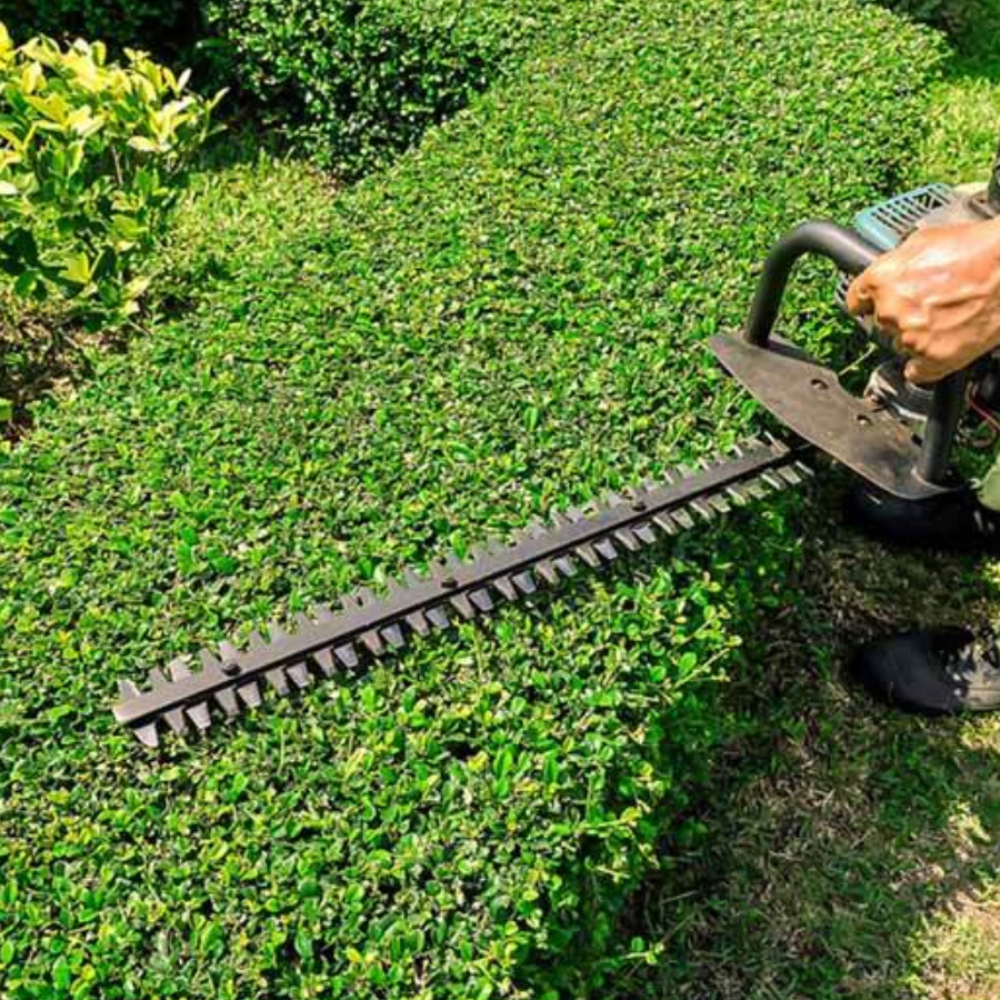 Hedge trimming and cutting service