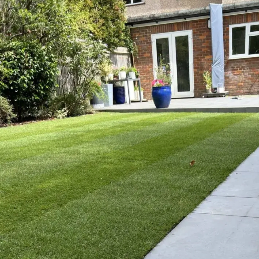 Laying fresh turf for a new lawn